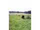 97 Horse Gully Road, Balmattum VIC 3666