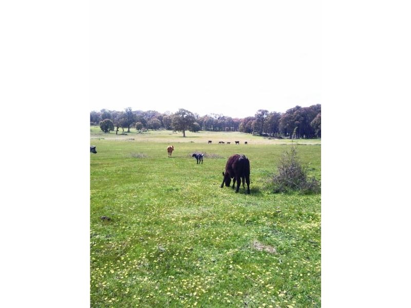 97 Horse Gully Road, Balmattum VIC 3666