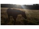 97 Horse Gully Road, Balmattum VIC 3666