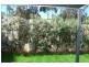 16 Wing Parade, Newington NSW 2127