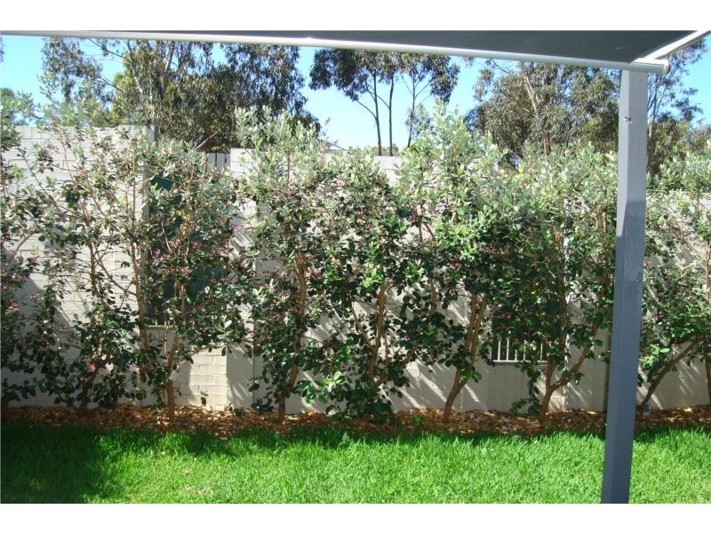 16 Wing Parade, Newington NSW 2127