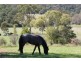 21 GIANT’S CREEK ROAD, Sandy Hollow NSW 2333