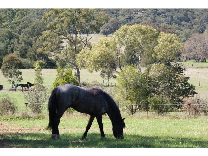 21 GIANT’S CREEK ROAD, Sandy Hollow NSW 2333