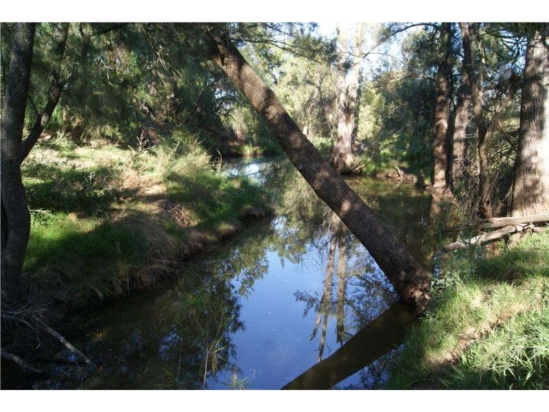 21 GIANT’S CREEK ROAD, Sandy Hollow NSW 2333