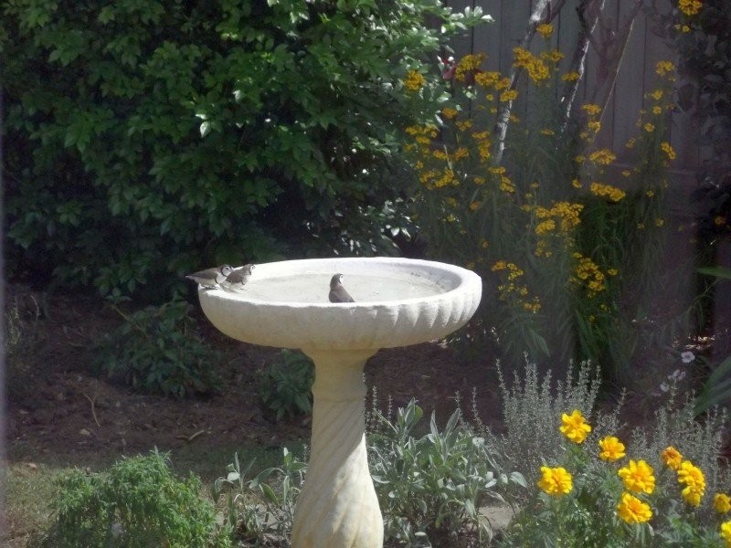 79 Middle Street, Esk QLD 4312