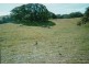 2216 COOLAMON SCENIC DRIVE, Mullumbimby NSW 2482