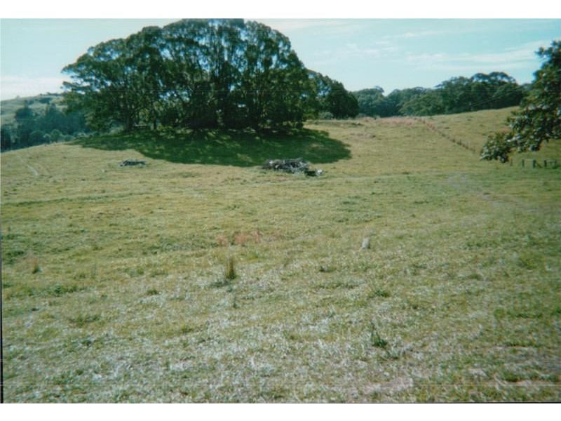 2216 COOLAMON SCENIC DRIVE, Mullumbimby NSW 2482