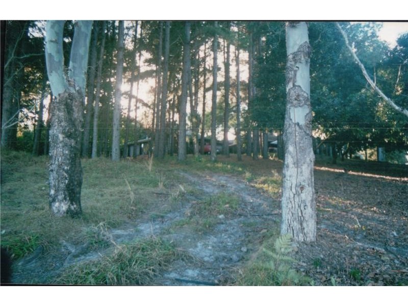 2216 COOLAMON SCENIC DRIVE, Mullumbimby NSW 2482