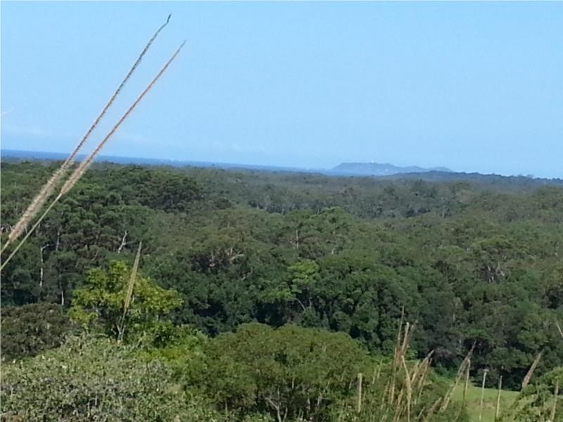 2216 COOLAMON SCENIC DRIVE, Mullumbimby NSW 2482