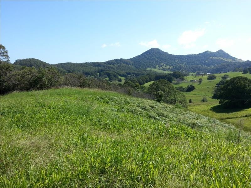 2216 COOLAMON SCENIC DRIVE, Mullumbimby NSW 2482