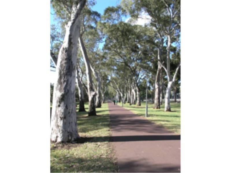 14 Ehmckes Lane, Adelaide SA 5000