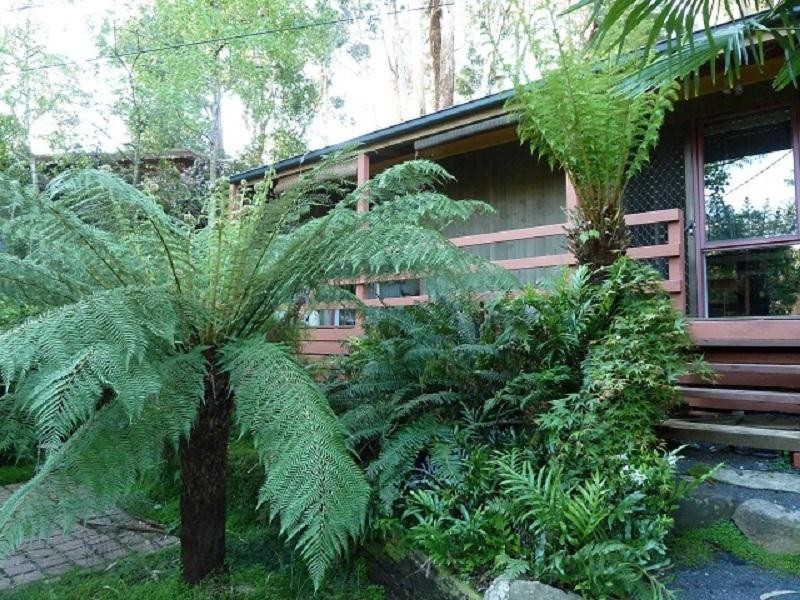 29 Bellbird Street, Belgrave VIC 3160