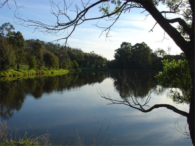 29 Bellbird Street, Belgrave VIC 3160