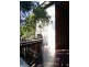 11 Racecourse Rise, Eumundi QLD 4562