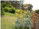 5 Alexander Place, North Narooma NSW 2546