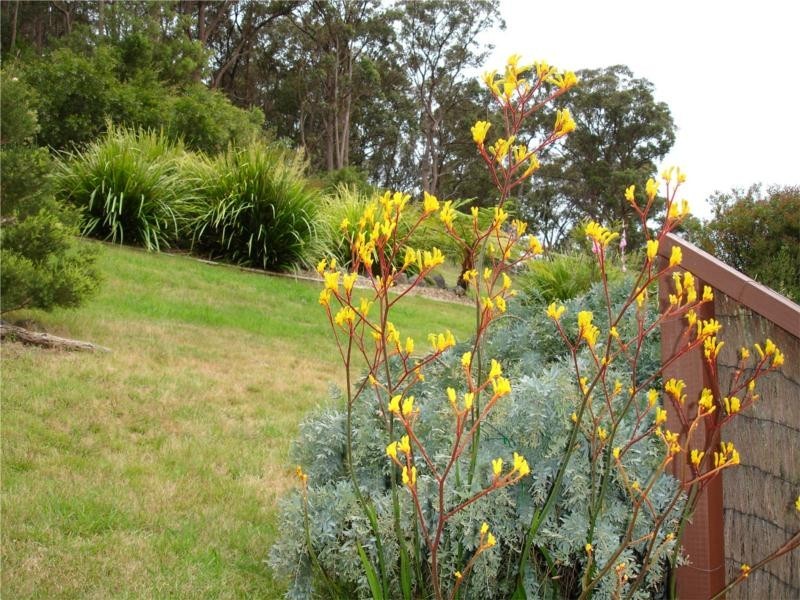 5 Alexander Place, North Narooma NSW 2546