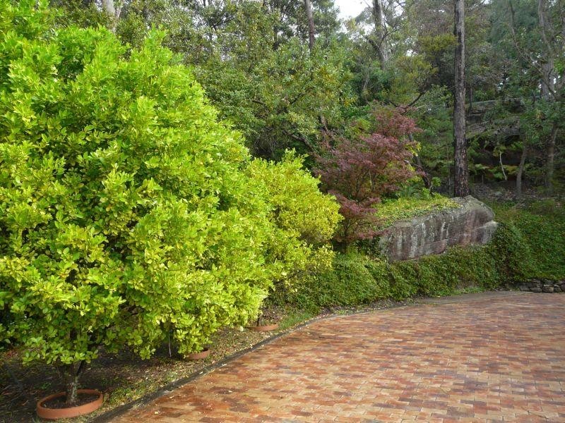 46 Lee Road, Winmalee NSW 2777