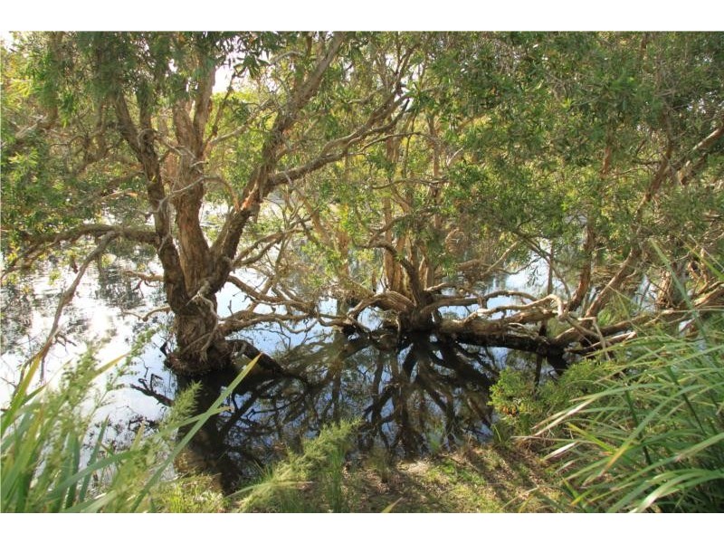 8 Truscot Place, Thornlands QLD 4164