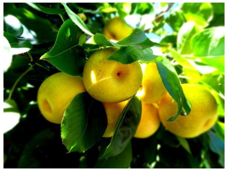 109 River Road, Ambleside TAS 7310