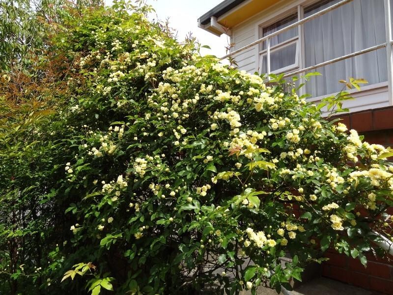 109 River Road, Ambleside TAS 7310