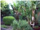 1 Louise Ave, Fulham SA 5024