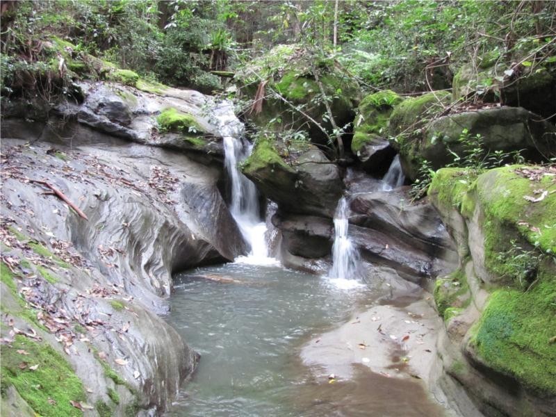 Commissioners Creek NSW 2484