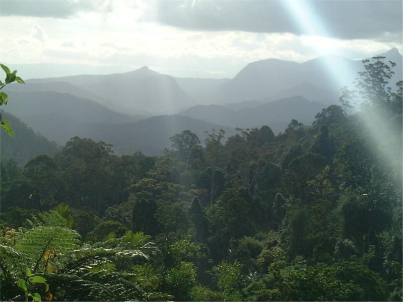 Commissioners Creek NSW 2484