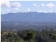 Commissioners Creek NSW 2484
