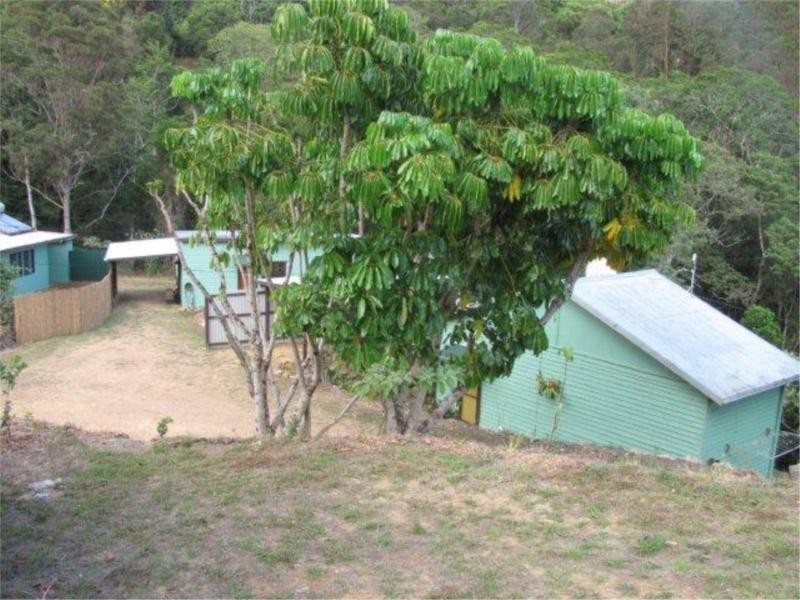 Commissioners Creek NSW 2484