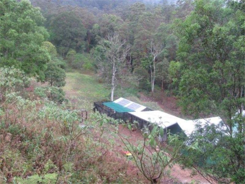 Commissioners Creek NSW 2484