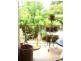 3/588 Greenhill Road, Burnside SA 5066