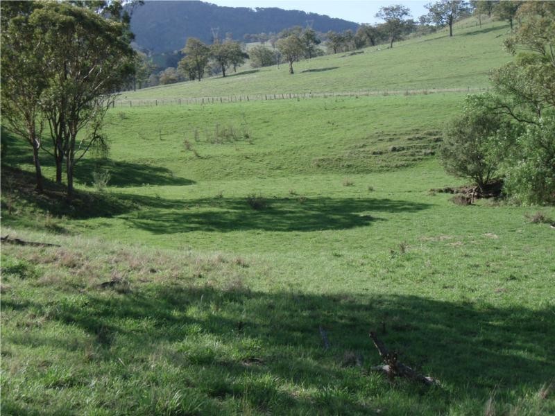 763 Muscle Creek Road, Muswellbrook NSW 2333