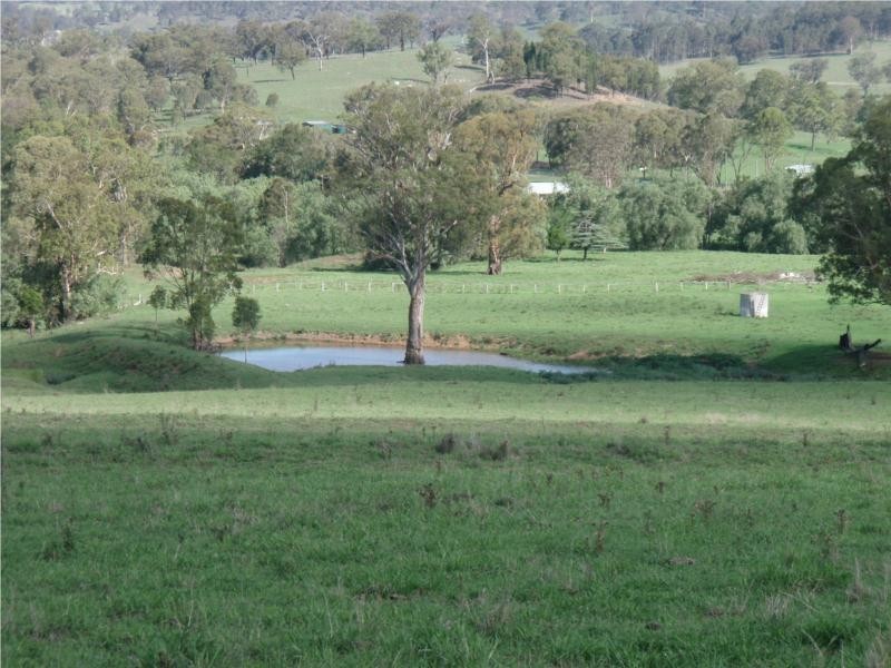 763 Muscle Creek Road, Muswellbrook NSW 2333