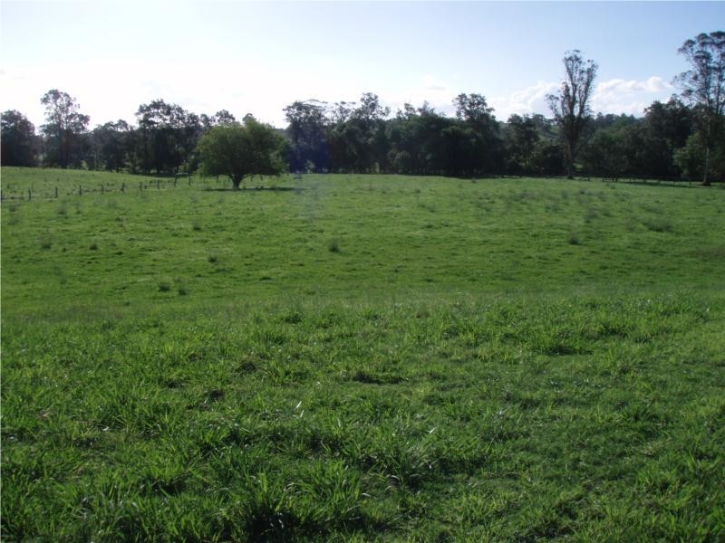 763 Muscle Creek Road, Muswellbrook NSW 2333