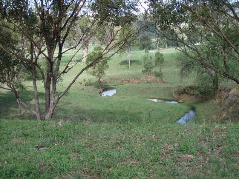 763 Muscle Creek Road, Muswellbrook NSW 2333
