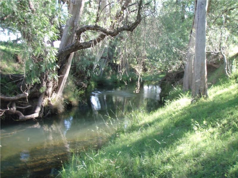 763 Muscle Creek Road, Muswellbrook NSW 2333