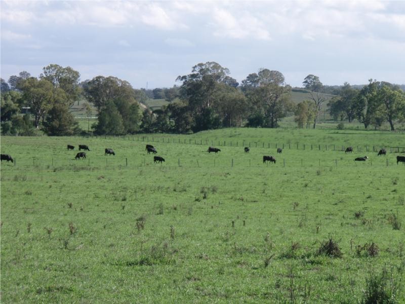 763 Muscle Creek Road, Muswellbrook NSW 2333