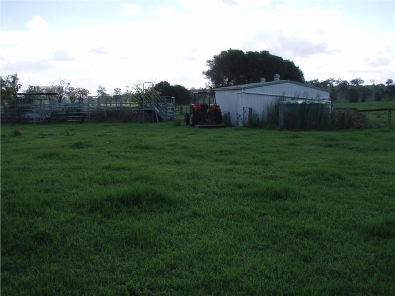 763 Muscle Creek Road, Muswellbrook NSW 2333