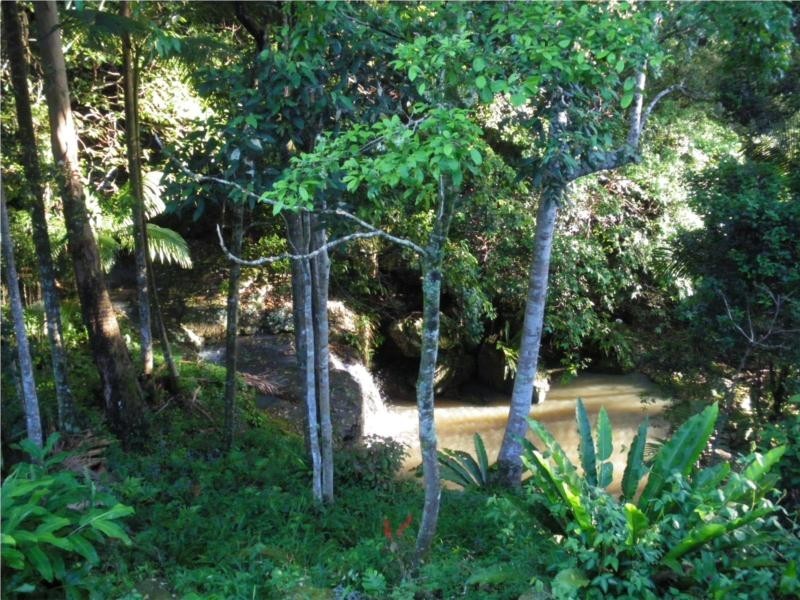 Lot 1 Motts Road, Upper Main Arm NSW 2482