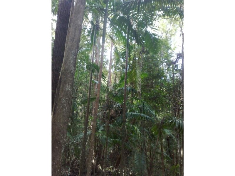Lot 1 Motts Road, Upper Main Arm NSW 2482