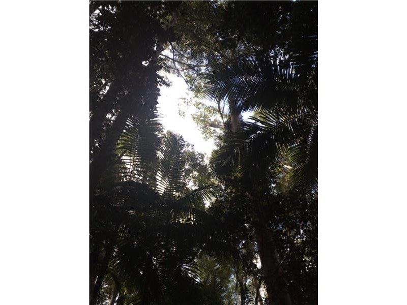 Lot 1 Motts Road, Upper Main Arm NSW 2482