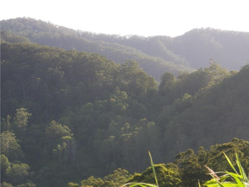 Lot 1 Motts Road, Upper Main Arm NSW 2482