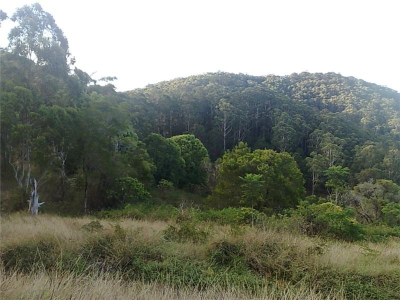 Lot 1 Motts Road, Upper Main Arm NSW 2482