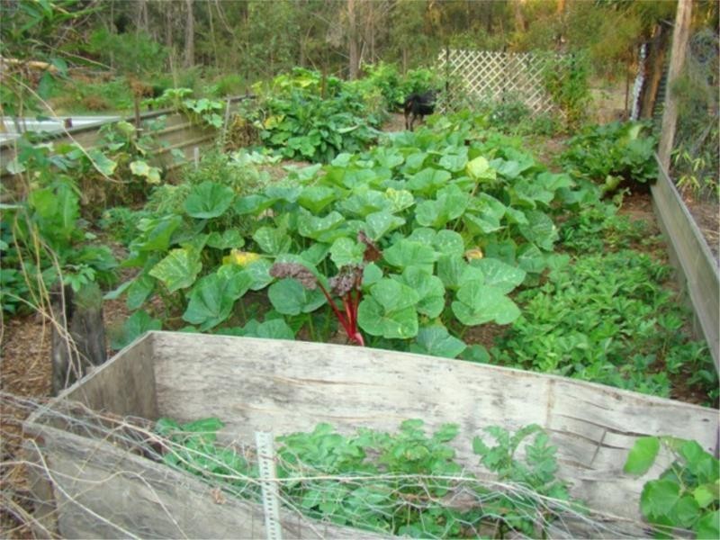 1547 Princes Highway, Broulee NSW 2537