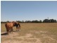 333 Simpsons Creek Road, Simpsons Creek VIC 3888