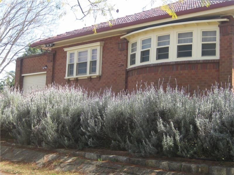 124 HILL CNR CARL STREETS, Muswellbrook NSW 2333