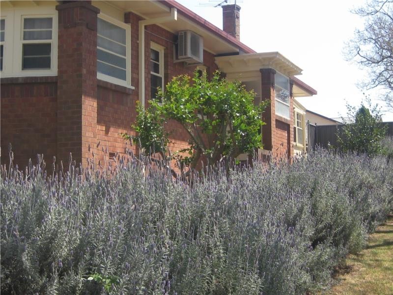 124 HILL CNR CARL STREETS, Muswellbrook NSW 2333