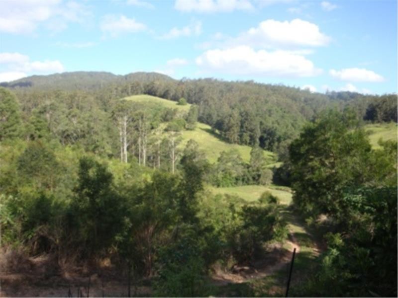 356 Browns Crossing Road, Warrell Creek NSW 2447