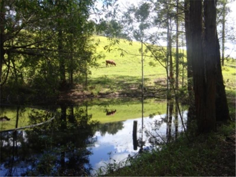 356 Browns Crossing Road, Warrell Creek NSW 2447