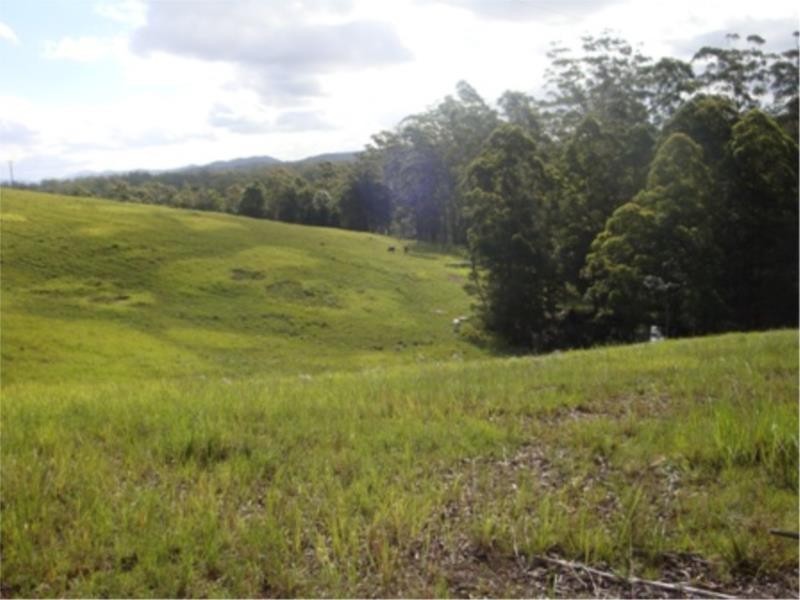 356 Browns Crossing Road, Warrell Creek NSW 2447